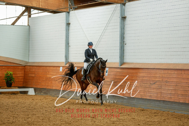 _62_6109 | Turniersportfotografie; Pferdefotografie; Dressurfotografie