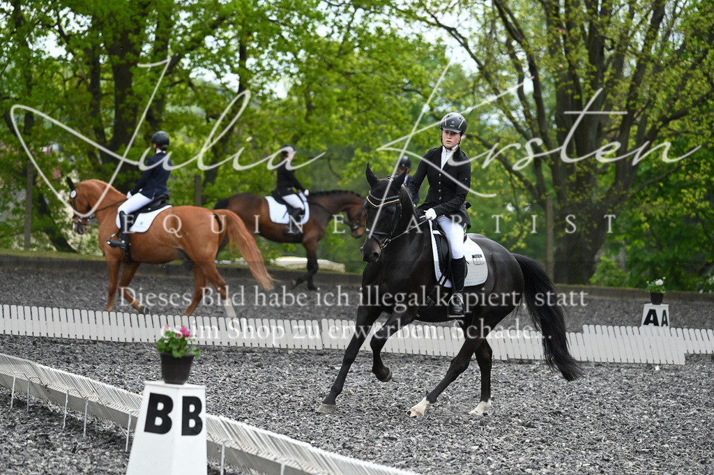 20230512_JK-Röhrsdorf-07-022 | Pferde- und Turnierfotografie in Westsachsen. Pferdeportraits, Auftragszeichnungen und intuitive Kunst.