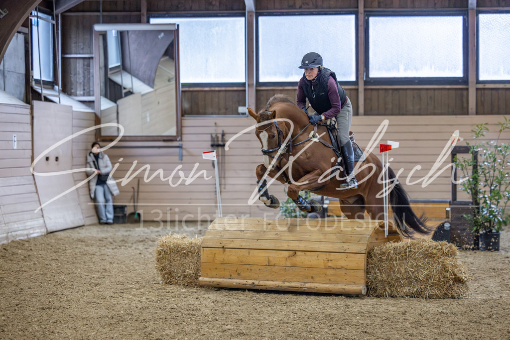20260221-_3LI8538 | Tierfotografie Pferde, Hunde, Katzen, Haustiere.
Turnierfotografie Reitturniere, Reiten, Springreiten, Dressur in Hanau, dem Main-Kinzig-Kreis und dem Rhein-Main- Gebiet um Frankfurt