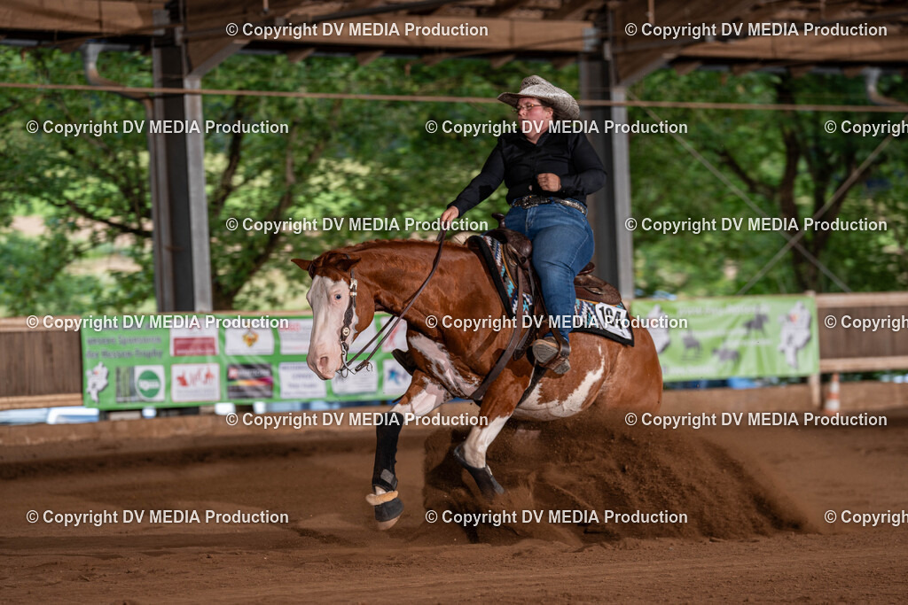 Erbach Tag 2-1177 | dv-media-shop - Realisiert mit Pictrs.com