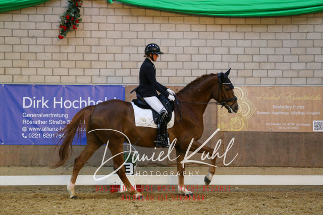 IMG_2947 | Turnierfotos kaufen im Webshop von Daniel Kuhl Photography – entdecke professionelle Reitsportfotos aus Turnieren & Events. Hochwertige Turnierbilder online bestellen & sichern. Jetzt Fotos von Reitsportturnieren kaufen!