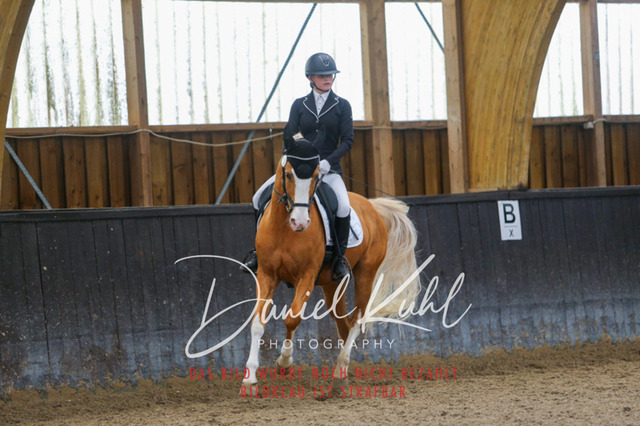 IMG_0565 | Turniersportfotografie; Pferdefotografie; Dressurfotografie