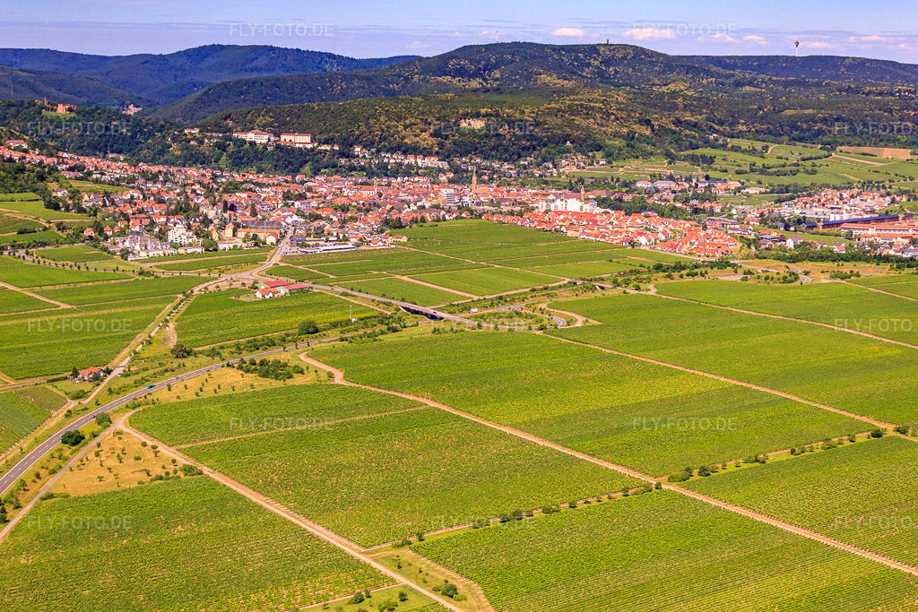 Luftbild: Winzerdorf zwischen Weinbergen von Südosten in Wachenheim an der Weinstraße im Bundesland Rheinland-Pfalz in Deutschland. Foto: IMG_30132.jpg vom 05.07.2010 durch Werner Riehm/FLY-FOTO.de