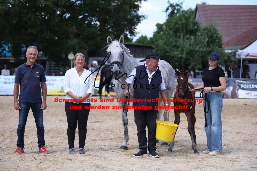 Fohlenschau_Schwäbisch_Hall_springbetonte_Fohlen_RESERVE SIEGERFOHLEN_KN 23_10 | lmwpictures - Realisiert mit Pictrs.com