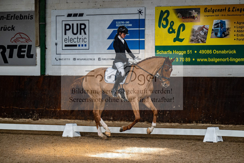 20240308-DOS_4453 | Entdecke hochwertige Reitturnierfotos von Foto Oger. Professionell, emotional und authentisch – jetzt Lieblingsmomente im Shop bestellen.Deutschlandweite Turnierfotografie. - Realisiert mit Pictrs.com