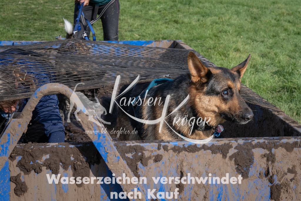 1640_ZZ92726 | kk-dogfotos