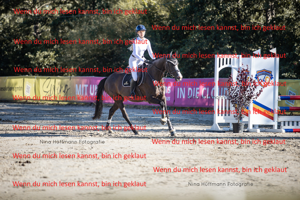 BK1A7587 | Turnierbilder Turnierfotos Nina Hüffmann Turnierfotografie Pferdefotografie Tierzeichnung Haustierzeichnung Pferdezeichnung Hundezeichnung Videograf  - Realisiert mit Pictrs.com