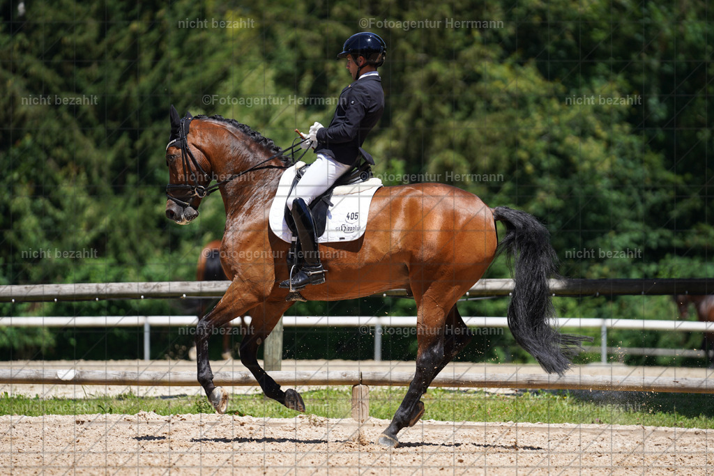 20240705-FAH03857 | Turnierbilder von Grafing, Reitsportbilder, Turnierfotos, Turnierfotografen Bayern, Pferdefotograf, Fotoagentur Herrmann