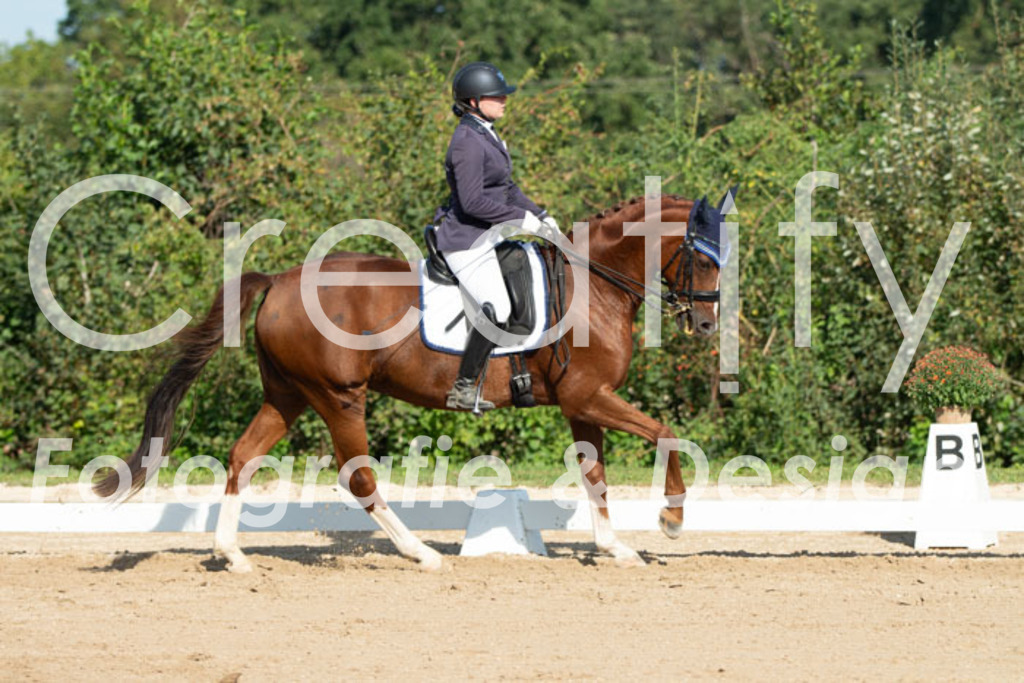 IMG_0591 | Creatify Fotografie