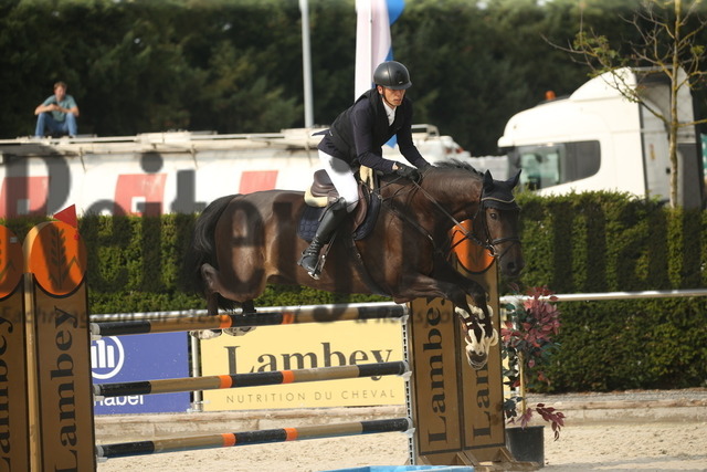 Durmersheim_2022_Prfg.Nr.15_ Springpferdeprfg_Kl.M_Dennis Schnell_Magic Boy 37 (2) | Alle Fotos der Reiterjournal Fotografin Doris Matthaes im Reiterjournal Online-Fotoshop. - Realisiert mit Pictrs.com