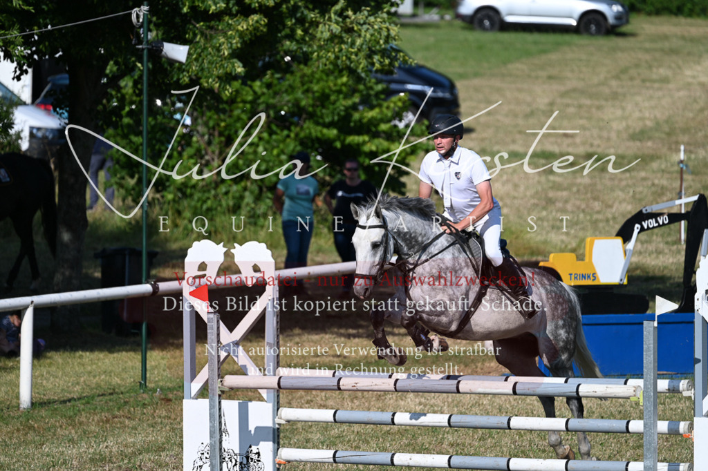 DSC_2581 | Pferde- und Turnierfotografie in Westsachsen. Pferdeportraits, Auftragszeichnungen und intuitive Kunst.