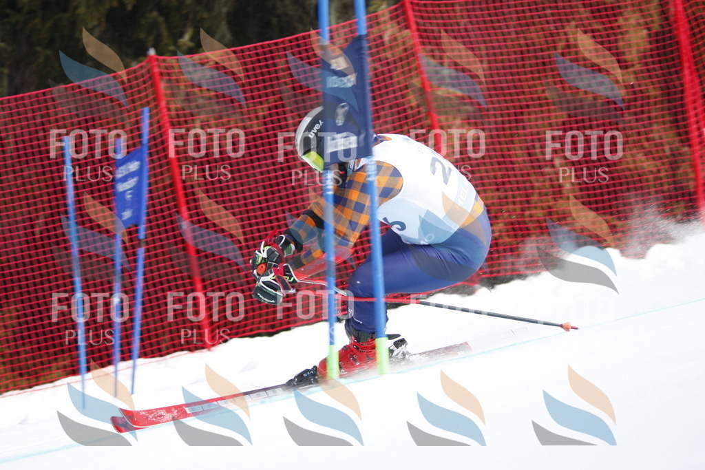 D8340 | holidayphoto