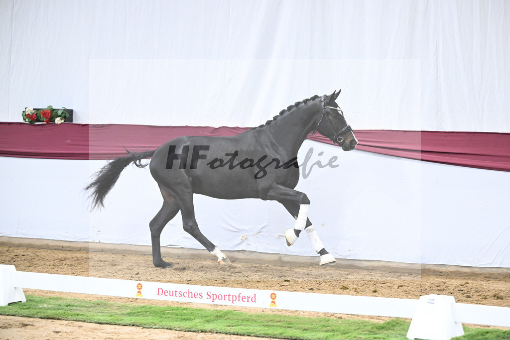 Kat-Nr. 18 Escaneno x Fuerstenball_Stefan Holtwiesche_47250506 | hf-fotografie - Realisiert mit Pictrs.com