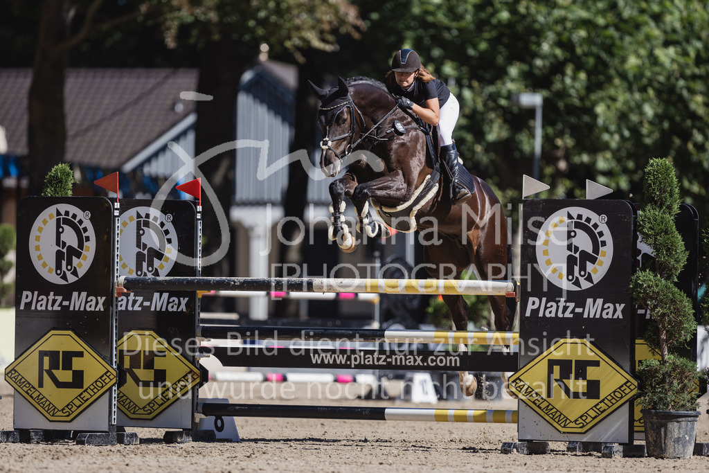 230907_OWLCh_SpringpferdeM-147 | Deine schönsten Turniermomente als professionelle Fotos! Entdecke hochwertige Pferdesport-Fotografie im Online-Shop. Jetzt Fotos finden & bestellen!