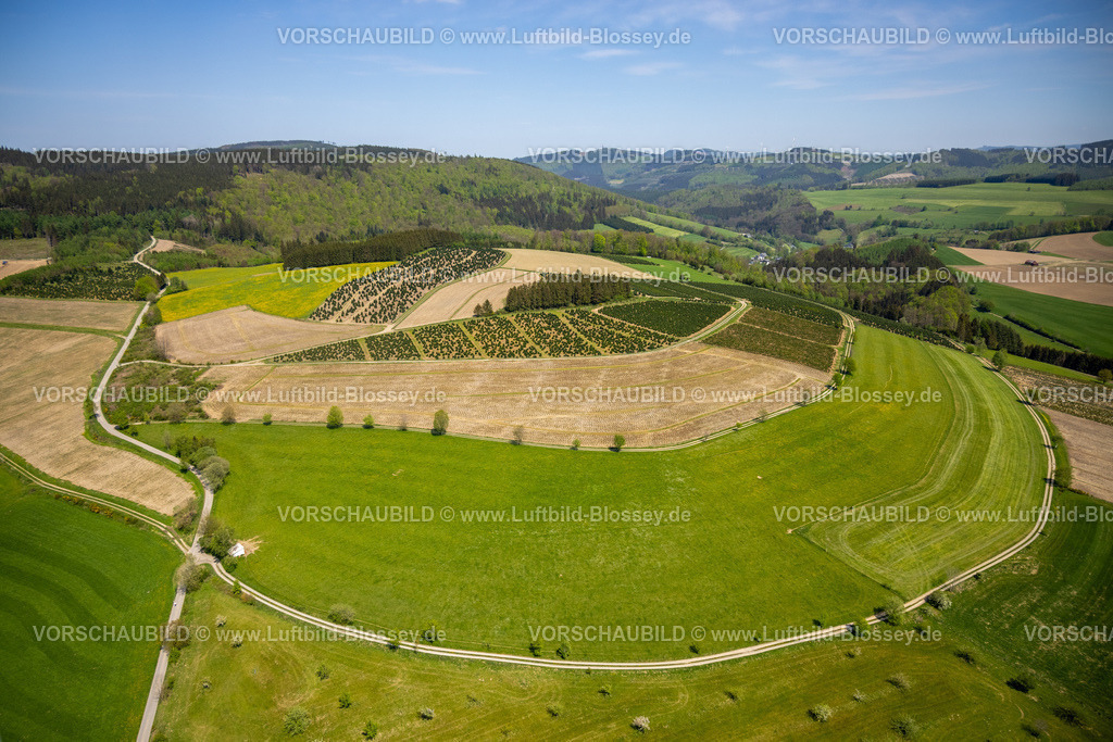 Schmallenberg240504999Boedefeld | Luftbild, Waldschonung und waldige Hügellandschaft mit Fernsicht, Westernbödefeld, Schmallenberg, Sauerland, Nordrhein-Westfalen, Deutschland