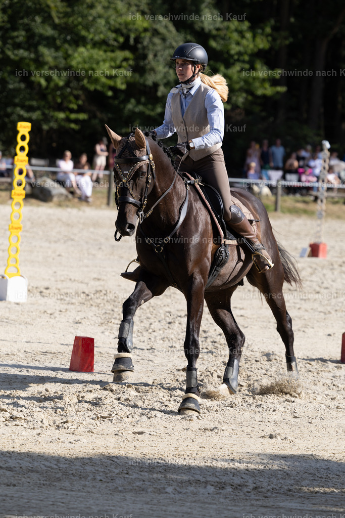 WS_SPEED_19_KerstinBernhardt-13 | working equitationturnier fotograf videograf stoibphotography marixx film working equitation deutschland reitsport turnierfotografie eventfotografie equestrian events