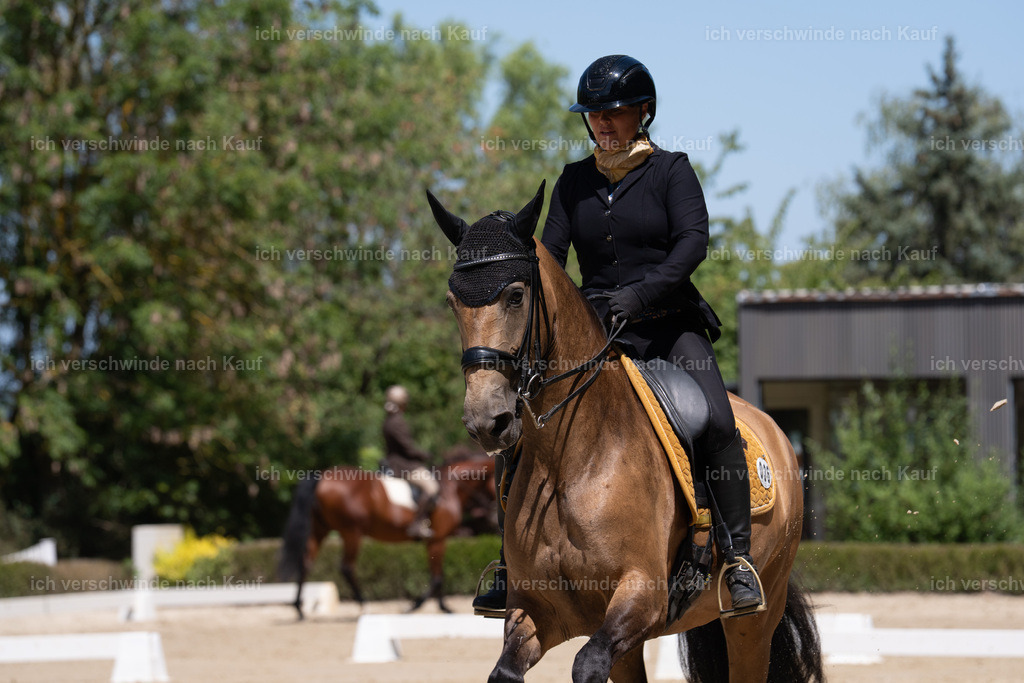 WS_DR_36_sinafilmart_IN08502 | working equitationturnier fotograf videograf stoibphotography marixx film working equitation deutschland reitsport turnierfotografie eventfotografie equestrian events