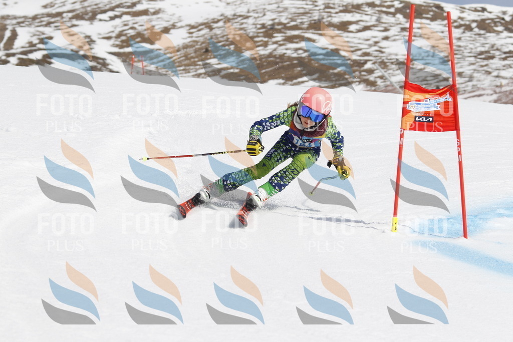 _U3G1806 | holidayphoto