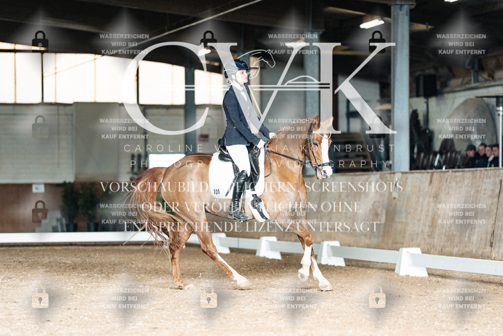 CK903018 | Turnierfotografie Pferdefotografie Trier Rheinland-Pfalz Pferdesport Reitsport Tierfotografie Sportfotografie Pferdevideo Pferdevideografie Equestrianvideography equestrianphotography  - Realized with Pictrs.com