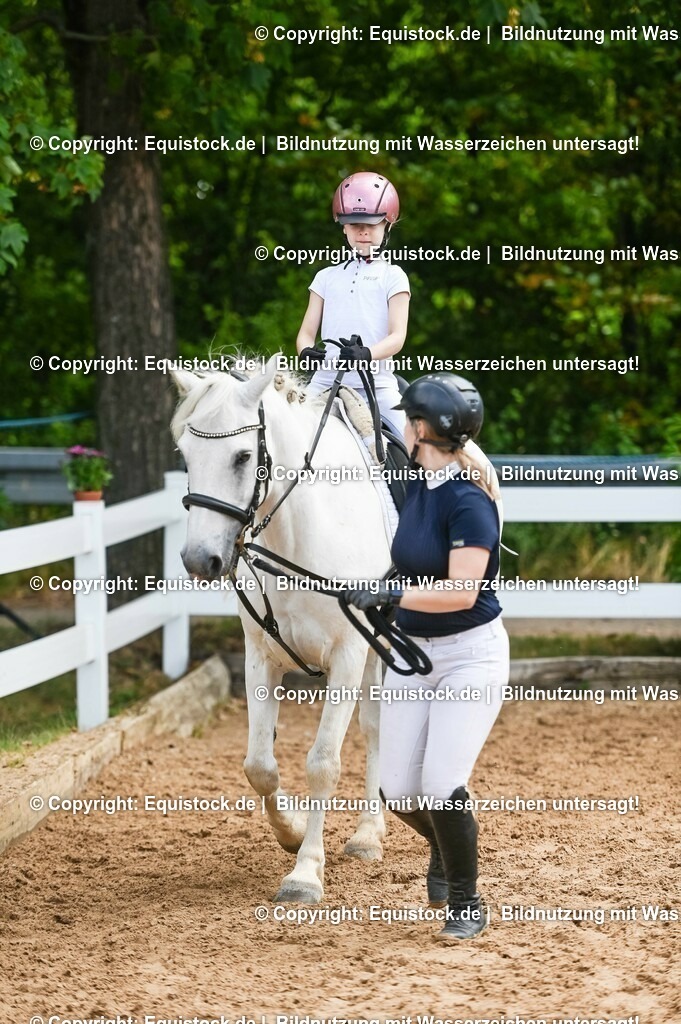 20230716_11_Führzügel-WB_0158 | equistock