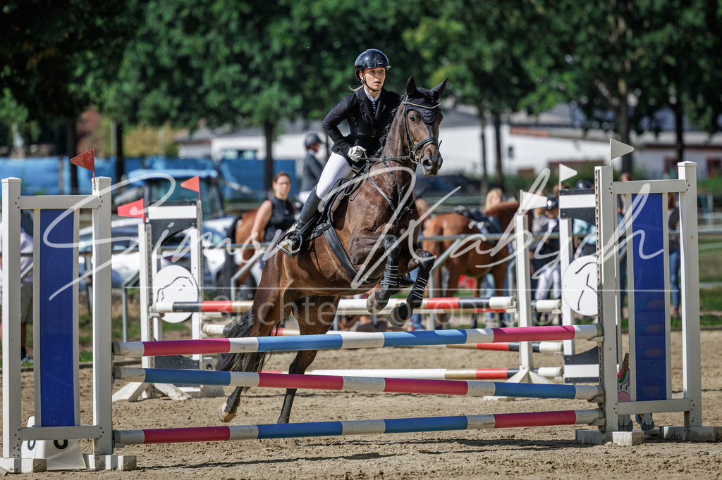 20260905-_3LI8717 | Tierfotografie Pferde, Hunde, Katzen, Haustiere.
Turnierfotografie Reitturniere, Reiten, Springreiten, Dressur in Hanau, dem Main-Kinzig-Kreis und dem Rhein-Main- Gebiet um Frankfurt