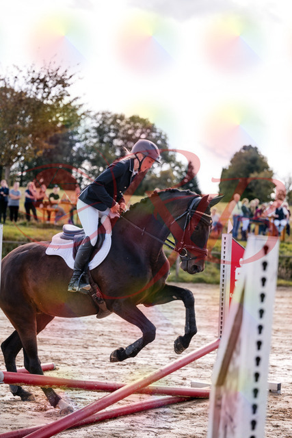 2026_10_03_Siefer-Hof_144014_Z81_10963173 | Professionelle Reitsport-, Turnier- und Eventfotografie von Robert Broda. Galerien mit ausgewählten und bearbeiteten Bildern direkt online ansehen und bestellen.