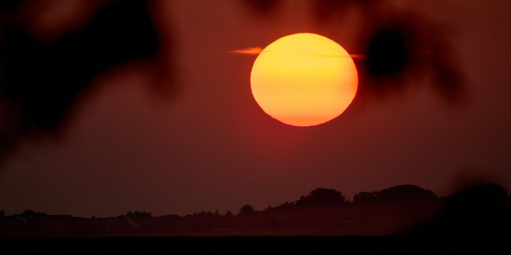 Abendsonne 2 | kleinen-fotografie