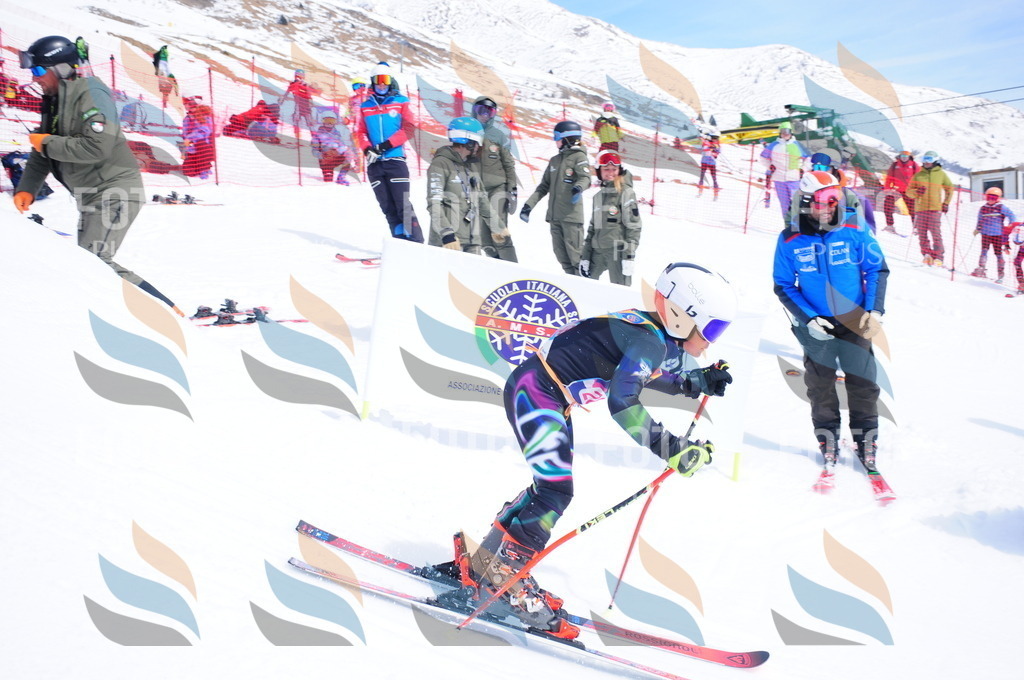 DSC_6525 | holidayphoto