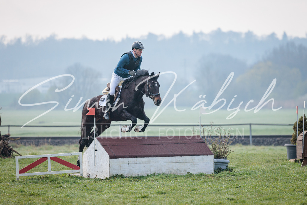 20260329-_3LI3495 | Tierfotografie Pferde, Hunde, Katzen, Haustiere.
Turnierfotografie Reitturniere, Reiten, Springreiten, Dressur in Hanau, dem Main-Kinzig-Kreis und dem Rhein-Main- Gebiet um Frankfurt