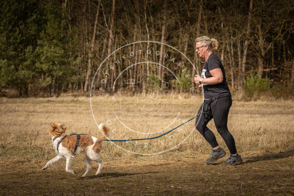 DV3A5568 | Hundefotografie, Tierfotograf, Pfotenfotografie, Fotoshooting Hund, Hunde Portrait, Hundesport, Hundeportraits, Heideshooting, Hunde, Sportfotograf, Hundefotograf, Turnierhundsport, THS,  - Realisiert mit Pictrs.com