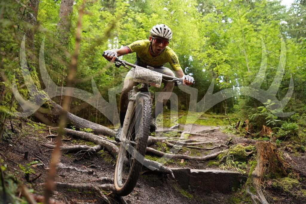 Wurzelpassage im TrailCenter Rabenberg | Fotogalerie der Treibjagd im Dunkelwald - Dein MTB Etappenrennen im Erzgebirge - Realisiert mit Pictrs.com