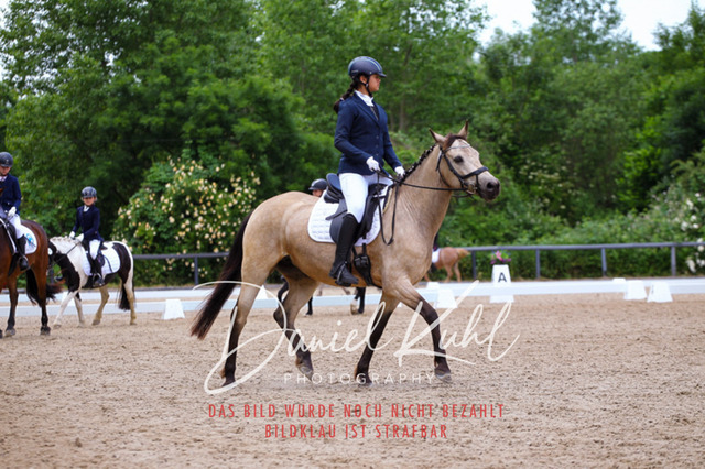 DKP46254 | Turnierfotos kaufen im Webshop von Daniel Kuhl Photography – entdecke professionelle Reitsportfotos aus Turnieren & Events. Hochwertige Turnierbilder online bestellen & sichern. Jetzt Fotos von Reitsportturnieren kaufen!