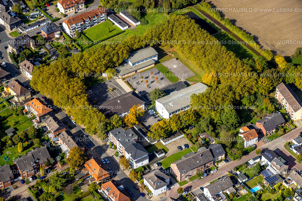 Hamm241008698 | Luftbild, Martin-Luther-Schule und Schulhof am Bockelweg, grüne Bäume Umrandung, Stadtbezirk Heessen, Hamm, Ruhrgebiet, Nordrhein-Westfalen, Deutschland