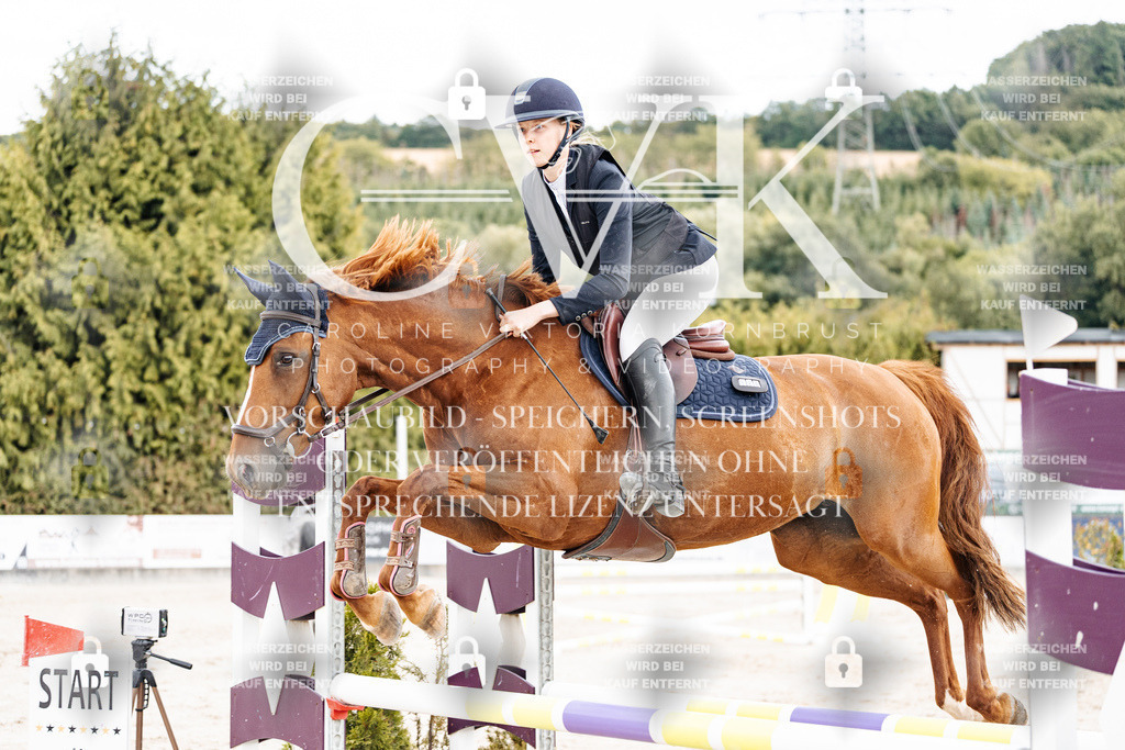 CK902653 | Turnierfotografie Pferdefotografie Trier Rheinland-Pfalz Pferdesport Reitsport Tierfotografie Sportfotografie Pferdevideo Pferdevideografie Equestrianvideography equestrianphotography  - Realisiert mit Pictrs.com