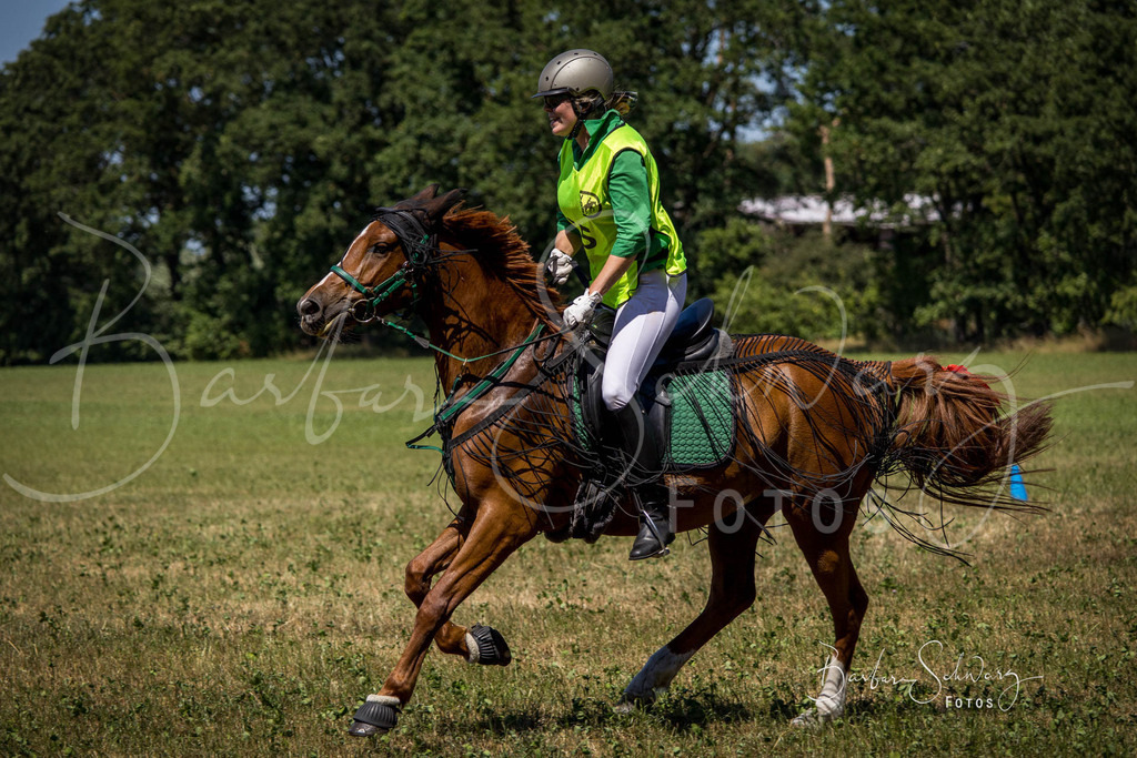 CJP_2026-06-26_42 | Stimmungsvolle Fotografie von Pferden, fotografische Begleitung von Veranstaltungen, Golfturnieren und Distanzritten - Realisiert mit Pictrs.com