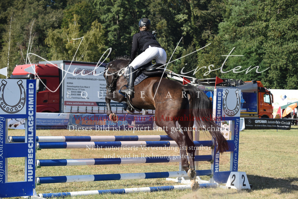 DSC_5391 | Pferde- und Turnierfotografie in Westsachsen. Pferdeportraits, Auftragszeichnungen und intuitive Kunst.