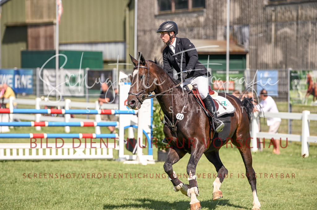 Schugtsche-Düren.2024-09.Springprf.L-3 | Schugtsche Fotografie - Realisiert mit Pictrs.com