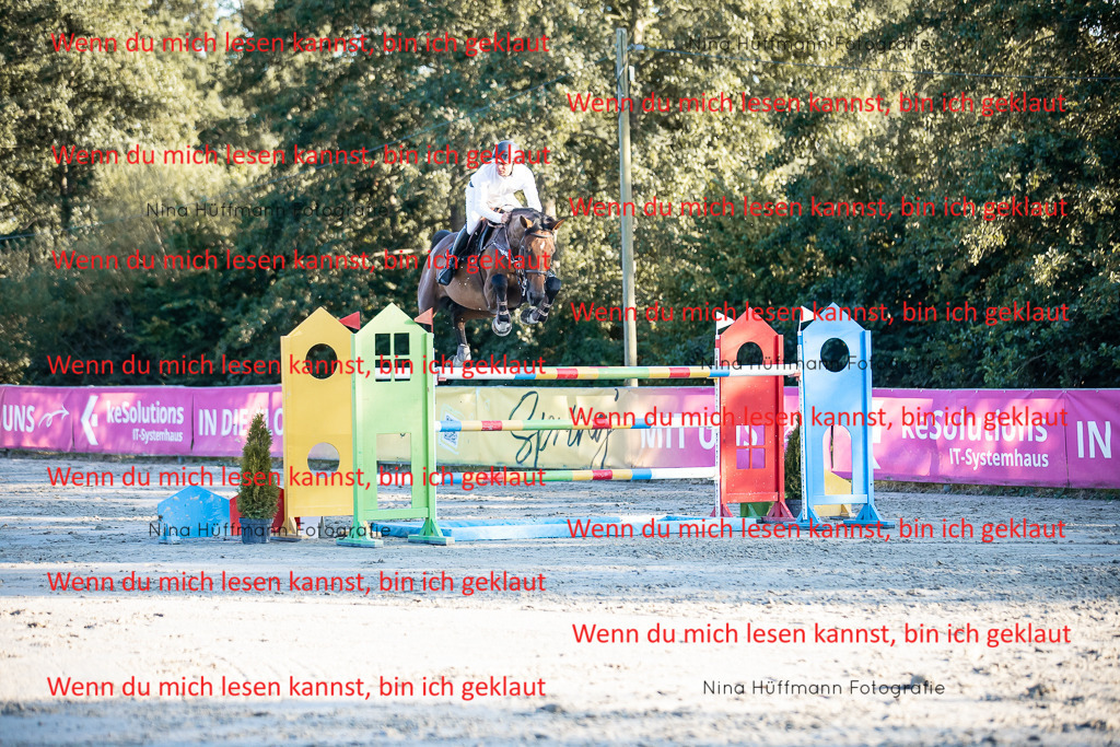 BK1A8862 | Turnierbilder Turnierfotos Nina Hüffmann Turnierfotografie Pferdefotografie Tierzeichnung Haustierzeichnung Pferdezeichnung Hundezeichnung Videograf  - Realisiert mit Pictrs.com