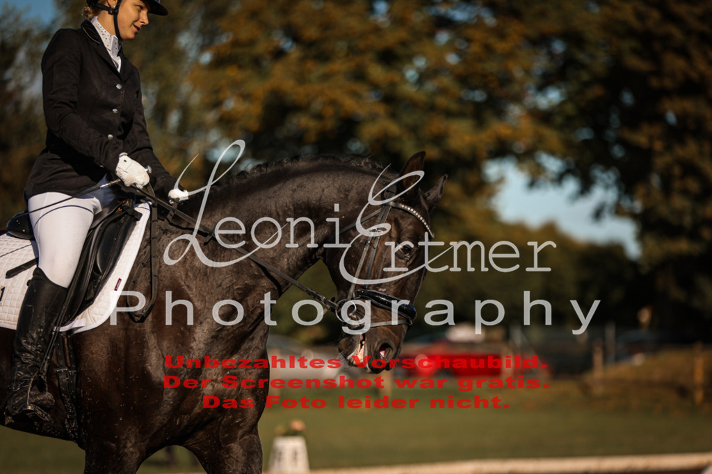 13.SoDrA100204 | Leoni Ertmer Photography - Realisiert mit Pictrs.com