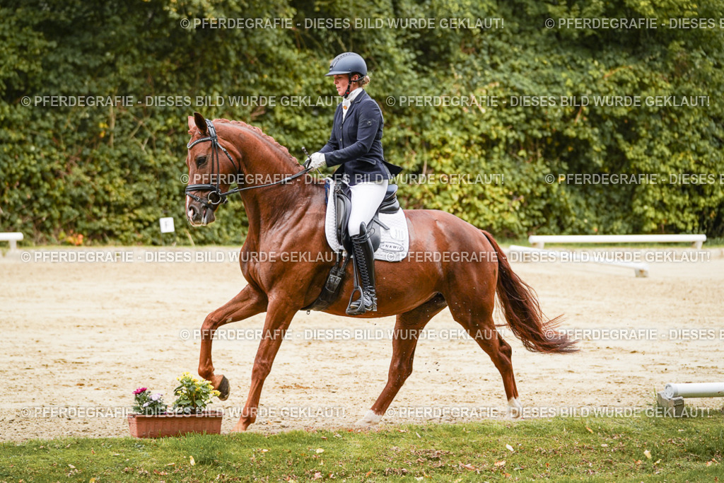 DSC09375 | Pferdegrafie