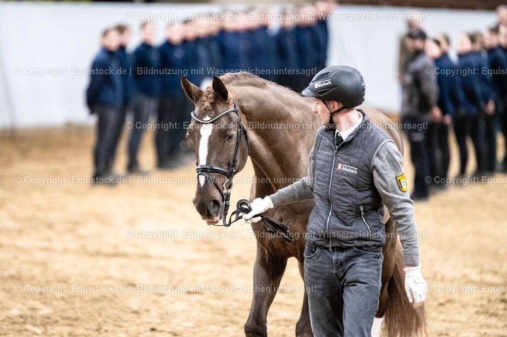 20260307_Hengstvorstellung-Marbach_0542 | equistock