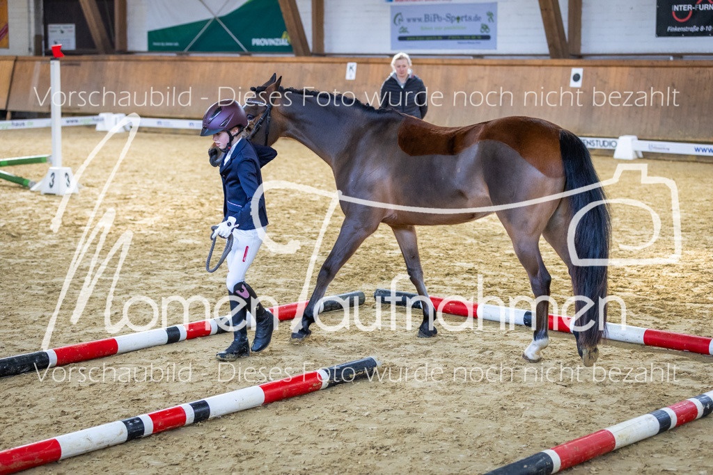 Sth-WBO25-Führ-WB-056 | MomenTaufnahmen Pferdesportfotos