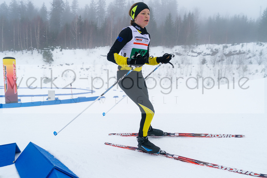 DSC Arber | Bayerischer Wald am 9. bis 12. Februar 2023
