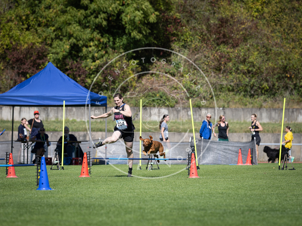 Pfotenfotografie_DV3A5500 | Hundefotografie, Tierfotograf, Pfotenfotografie, Fotoshooting Hund, Hunde Portrait, Hundesport, Hundeportraits, Heideshooting, Hunde, Sportfotograf, Hundefotograf, Turnierhundsport, THS,  - Realisiert mit Pictrs.com