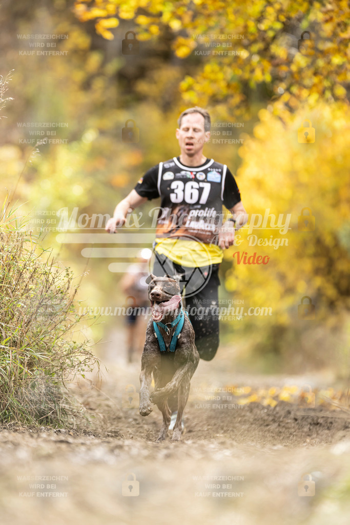 MompixPhotography_ICF_WC_2024_SA_Run_-298 | PayLife