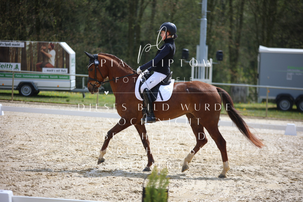 IMGT2215 | pl-fotografie