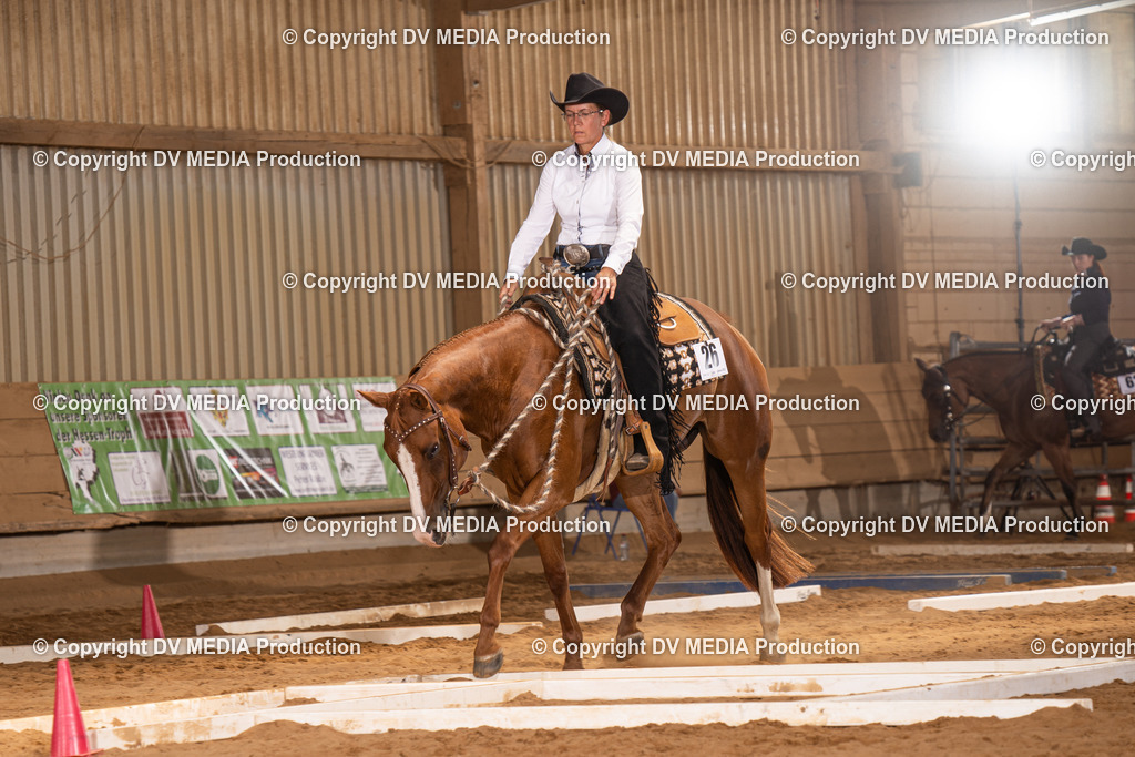 NID00628 | dv-media-shop - Realisiert mit Pictrs.com