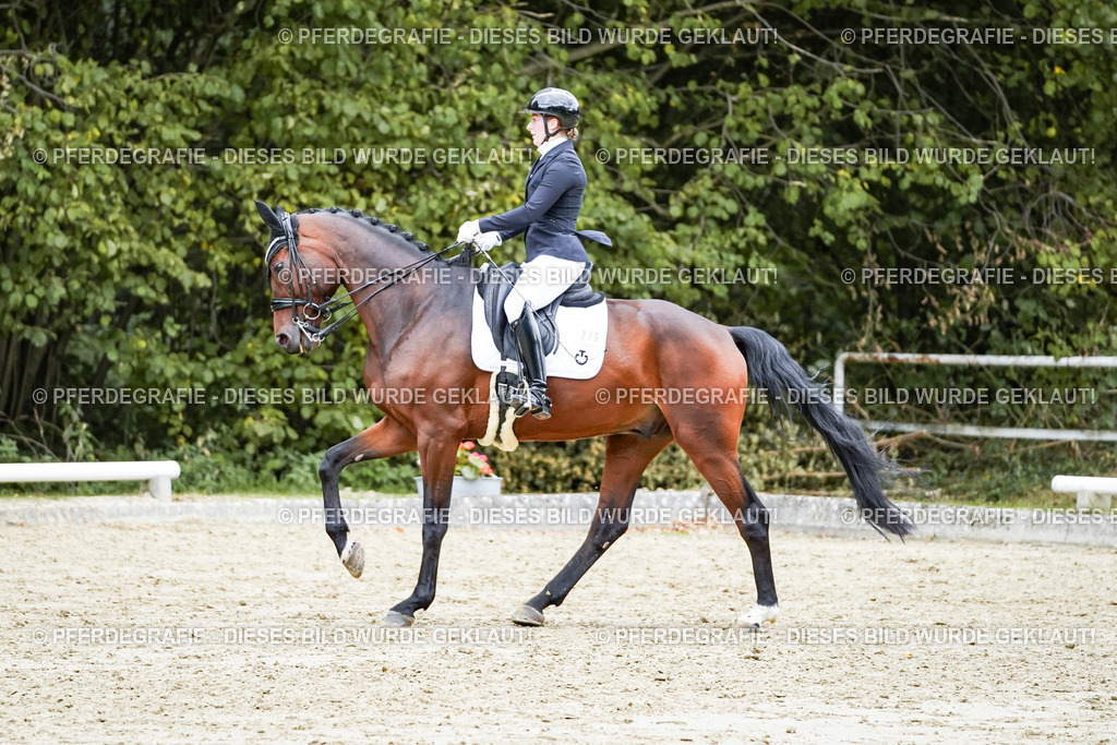 DSC07355 | Pferdegrafie