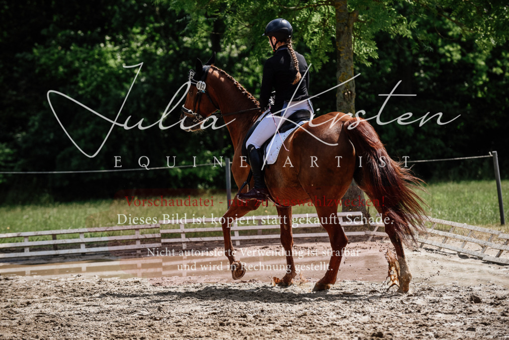 DSC_1392 | Pferde- und Turnierfotografie in Westsachsen. Pferdeportraits, Auftragszeichnungen und intuitive Kunst.