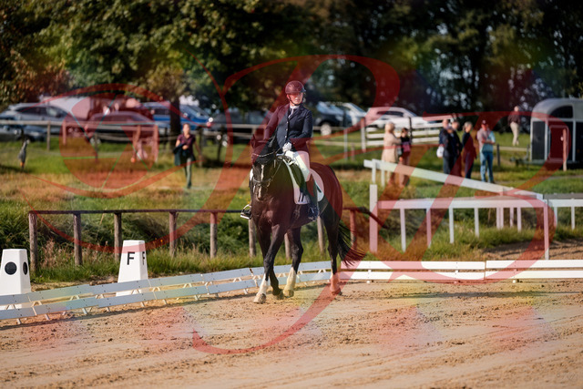 2026_10_03_Siefer-Hof_113454_Z63_20634319 | Professionelle Reitsport-, Turnier- und Eventfotografie von Robert Broda. Galerien mit ausgewählten und bearbeiteten Bildern direkt online ansehen und bestellen.